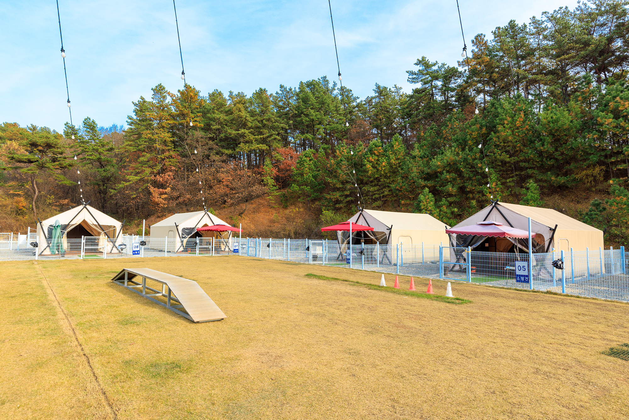 멍글멍글 펫 글램핑(주)