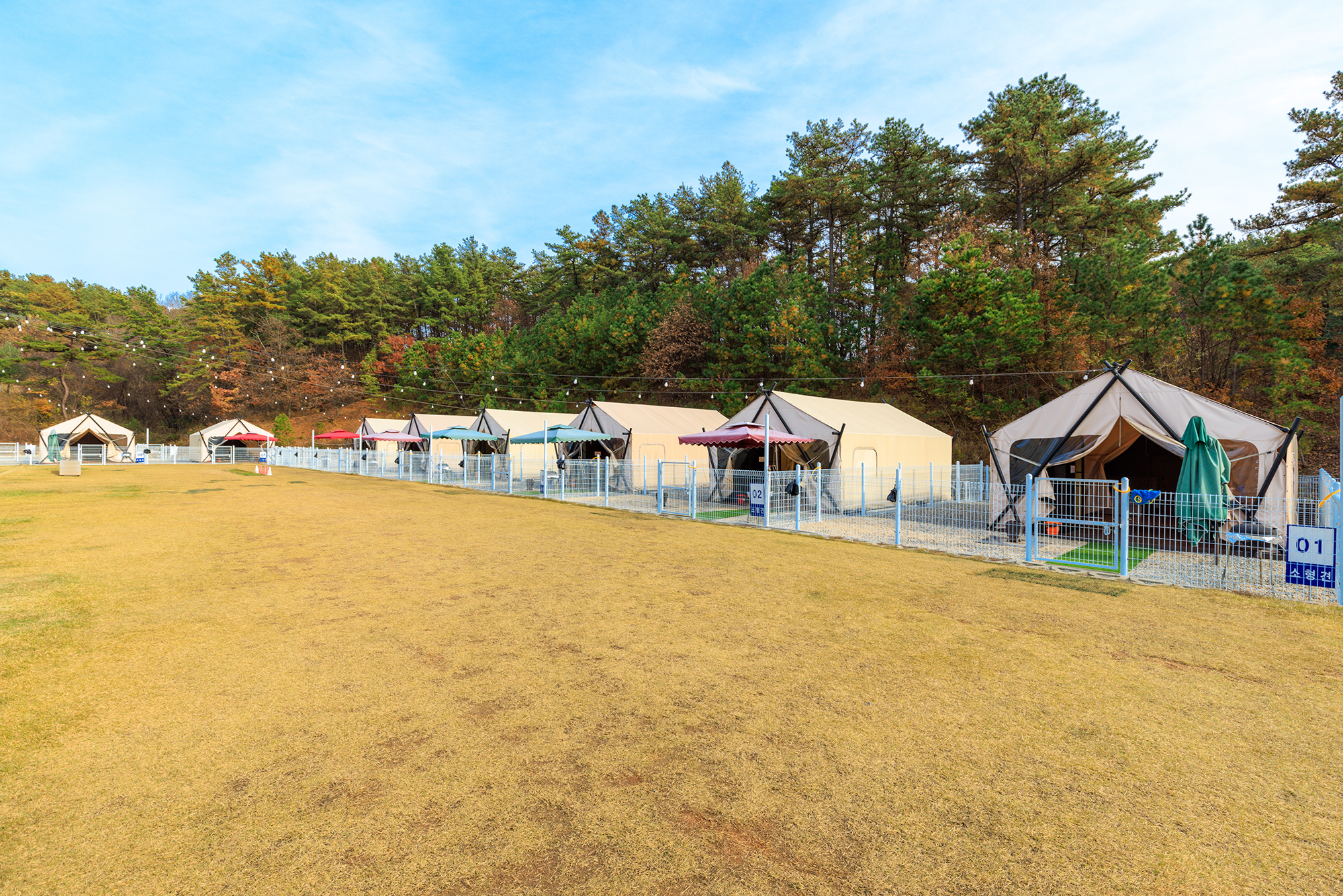 멍글멍글 펫 글램핑(주)