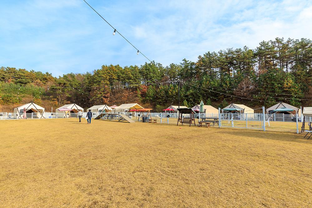 멍글멍글 펫글램핑