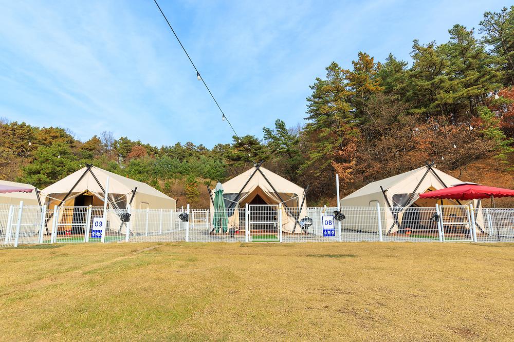 멍글멍글 펫글램핑