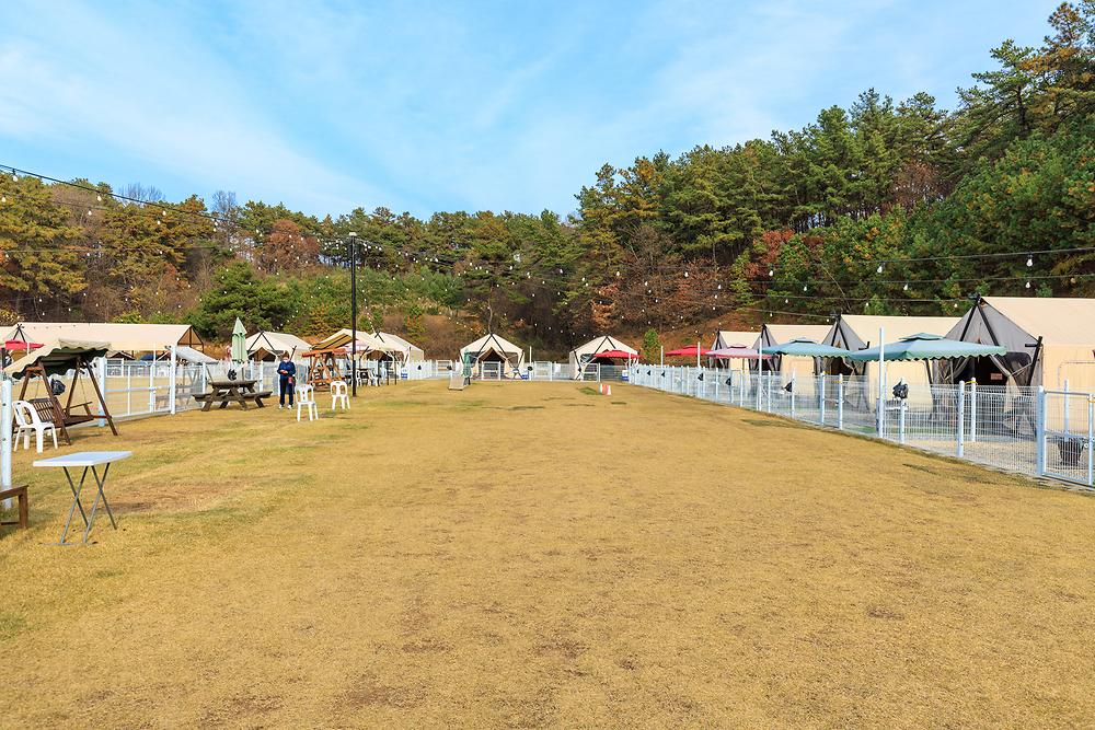 멍글멍글 펫글램핑