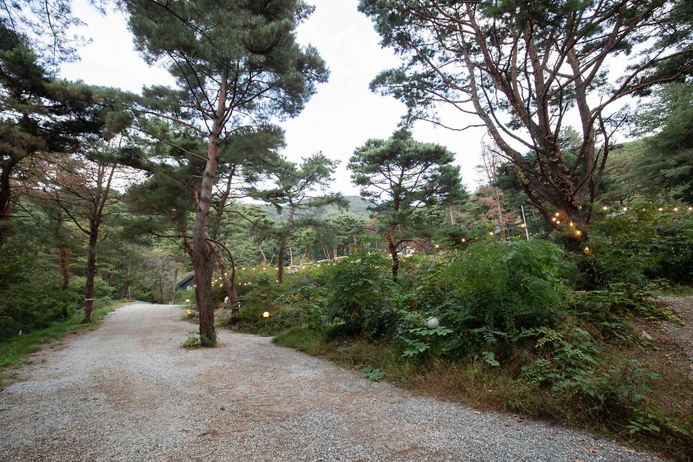 용문산 해와달