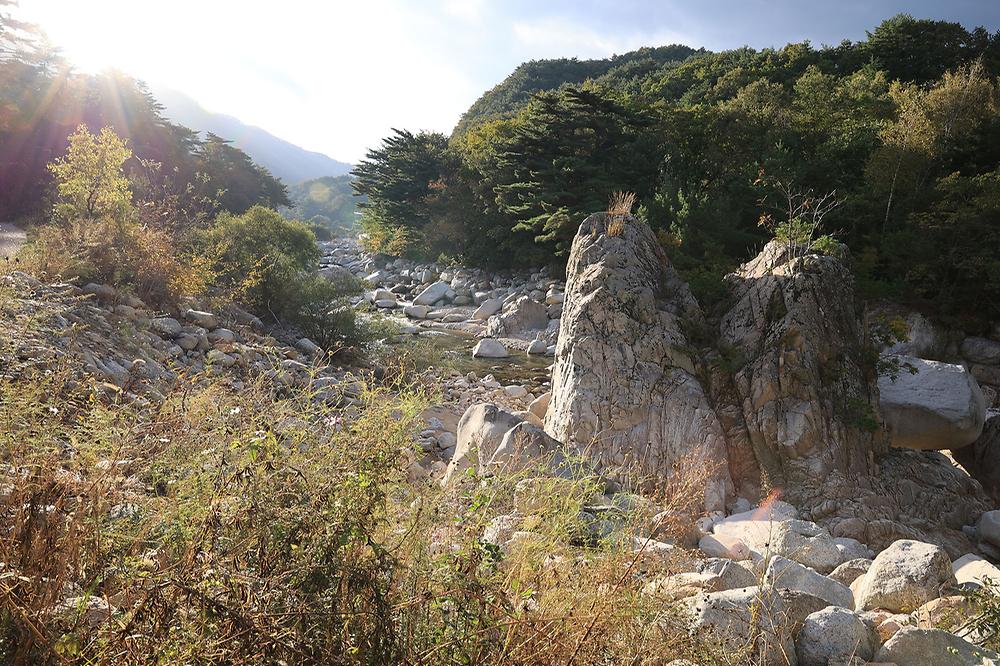 양양오색 휴랜드 야영장