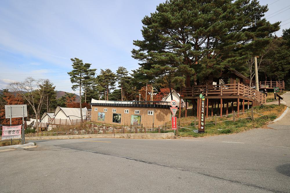 숲속야영장
