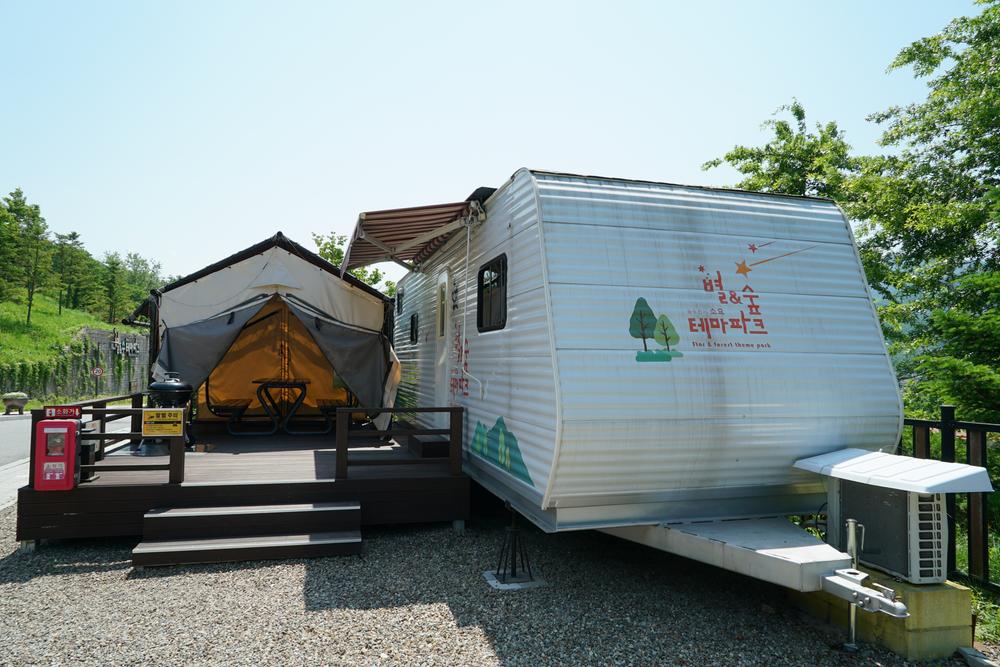 소요별앤숲테마파크