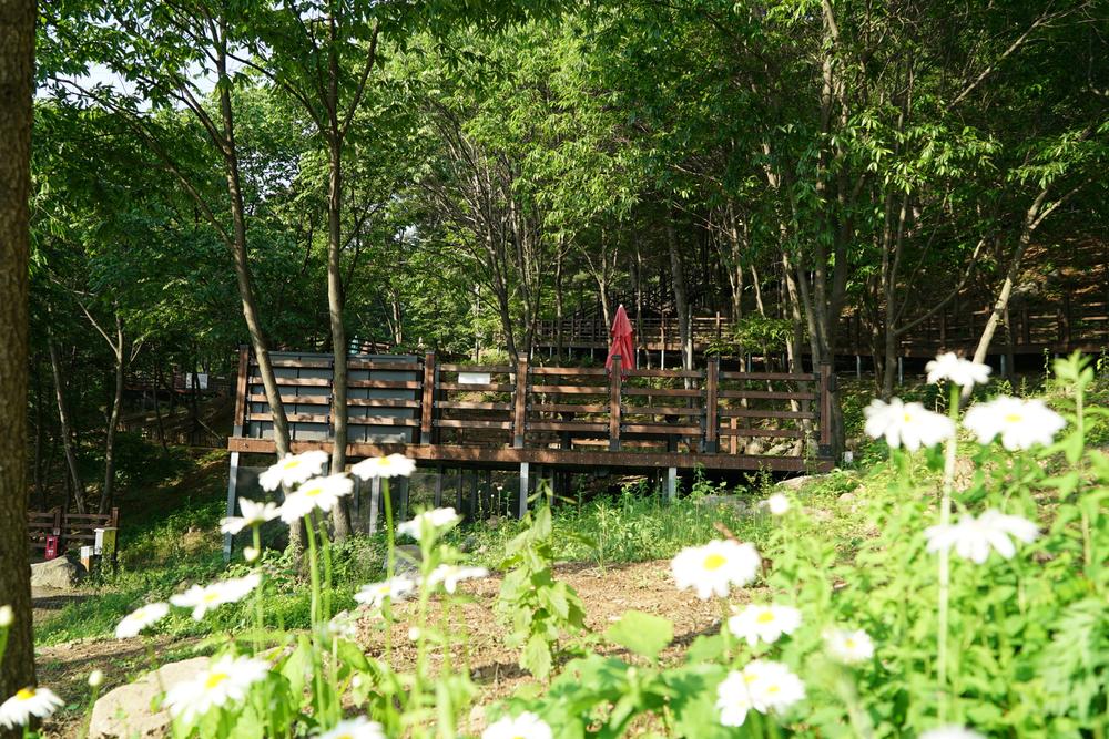 소요별앤숲테마파크