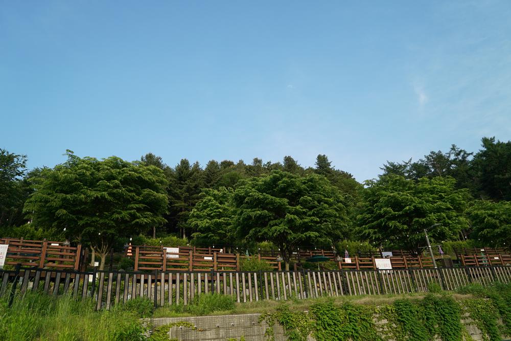 소요별앤숲테마파크