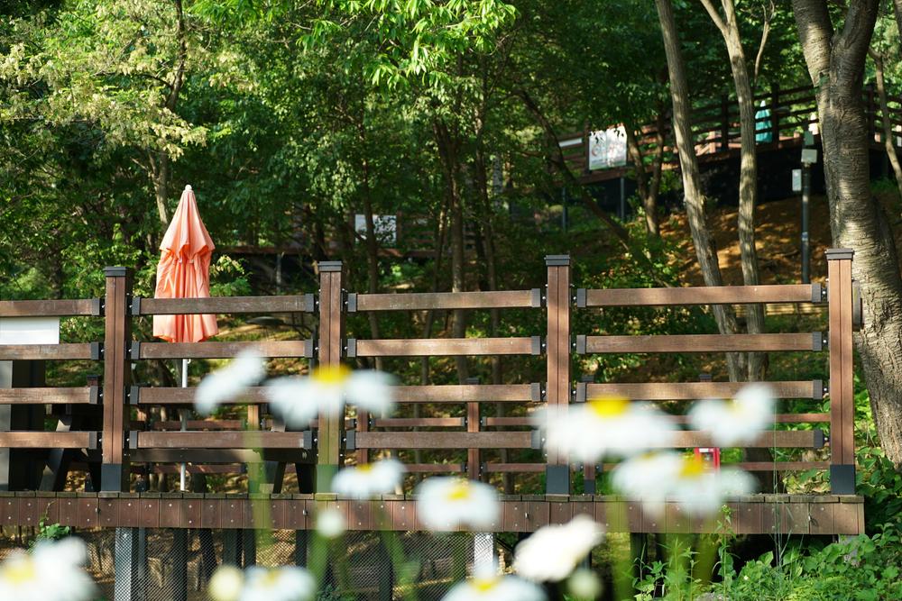 소요별앤숲테마파크