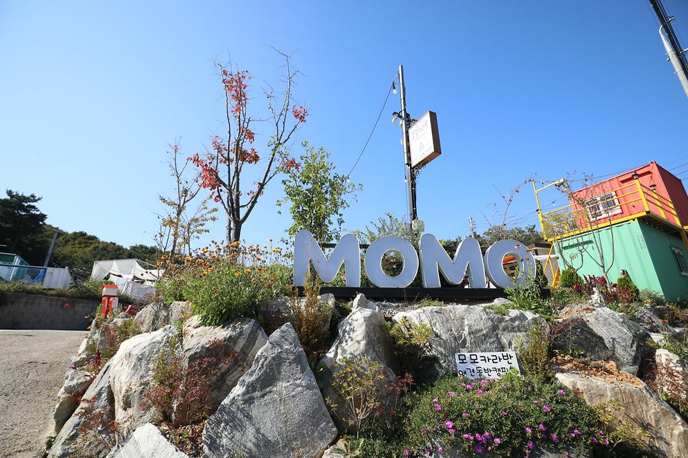 모모카라반