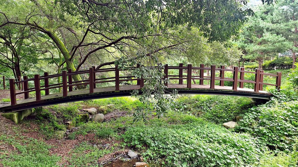 대둔산 수락오토캠핑장