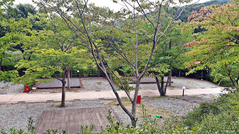 대둔산 수락오토캠핑장