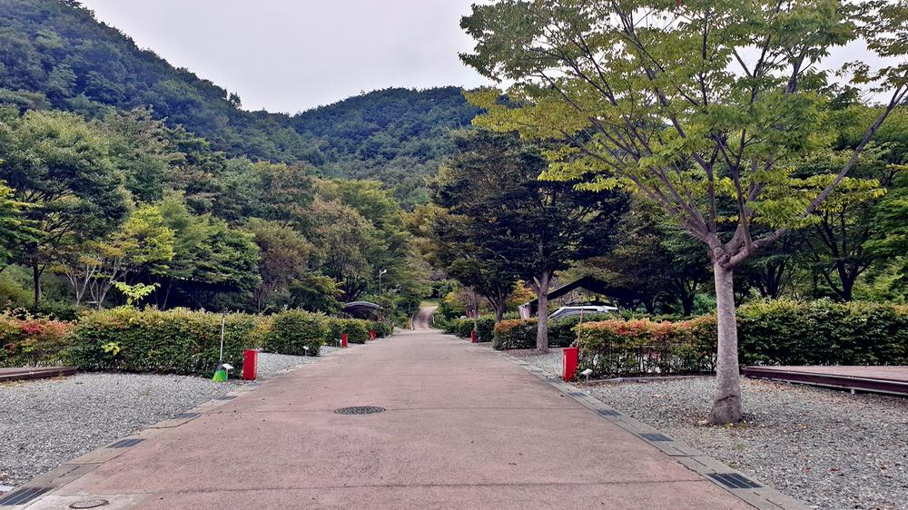 대둔산 수락오토캠핑장