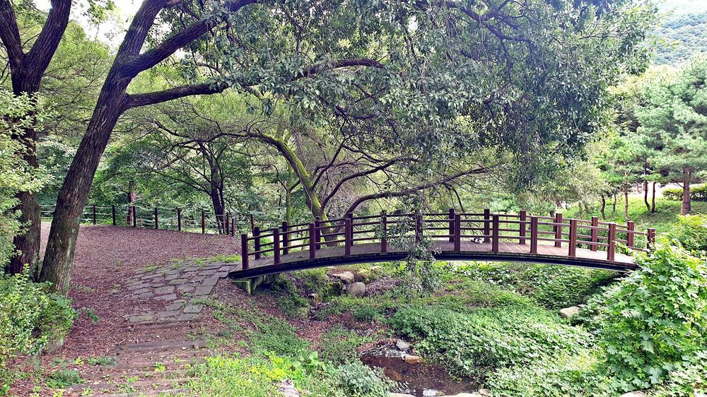 대둔산 수락오토캠핑장