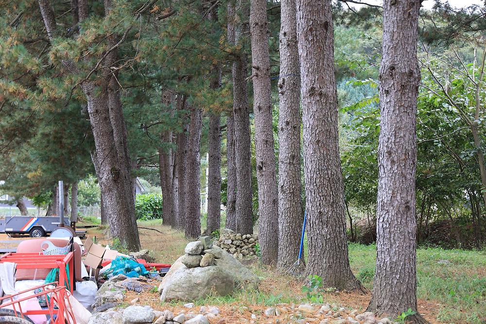 팔봉참살이오토캠핑장
