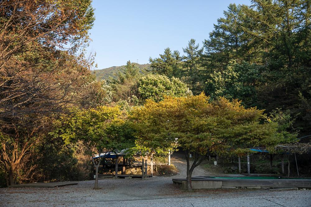 돈내미농장