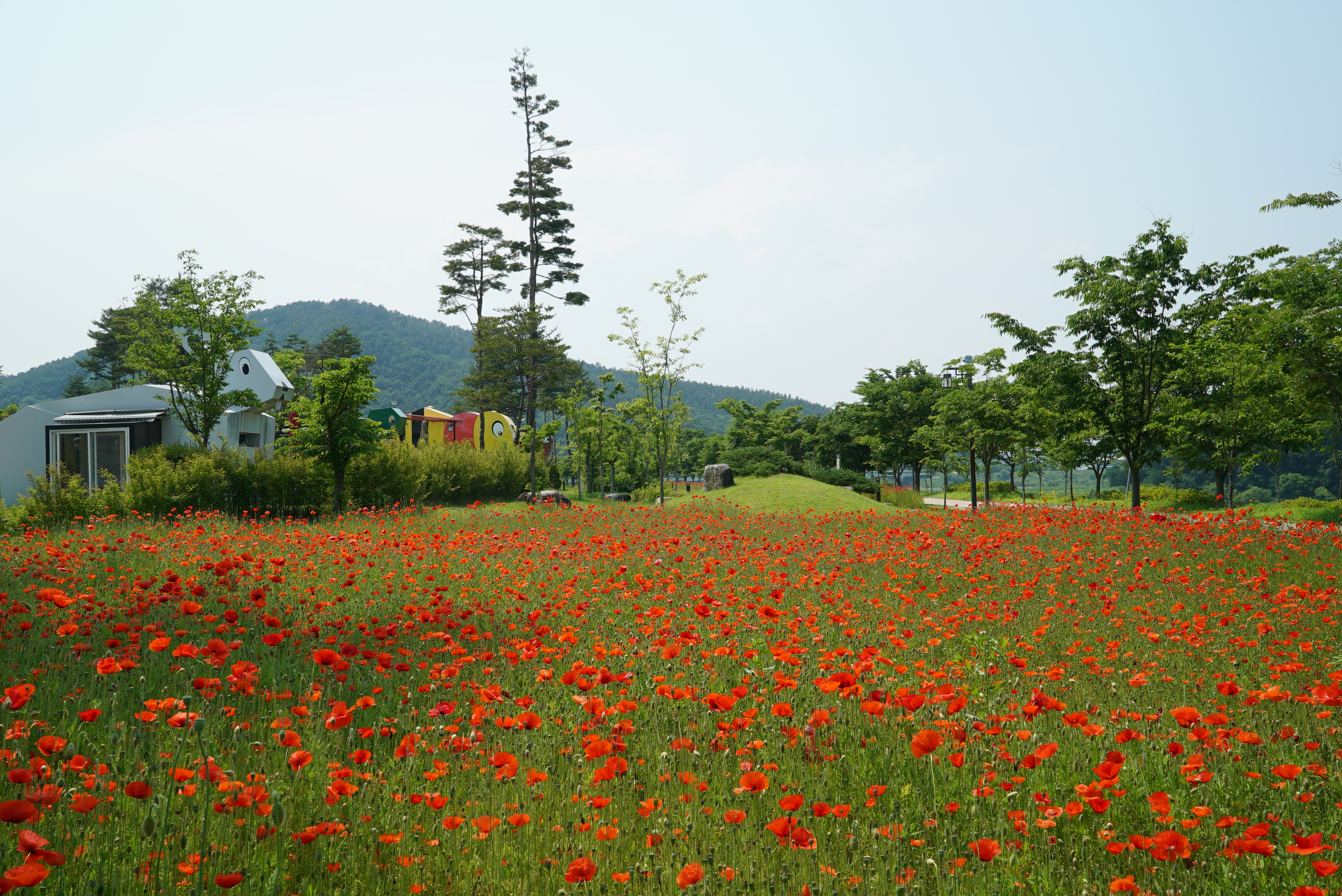 삼강나루캠핑장