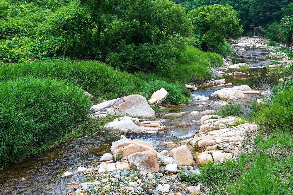 산내자연캠프