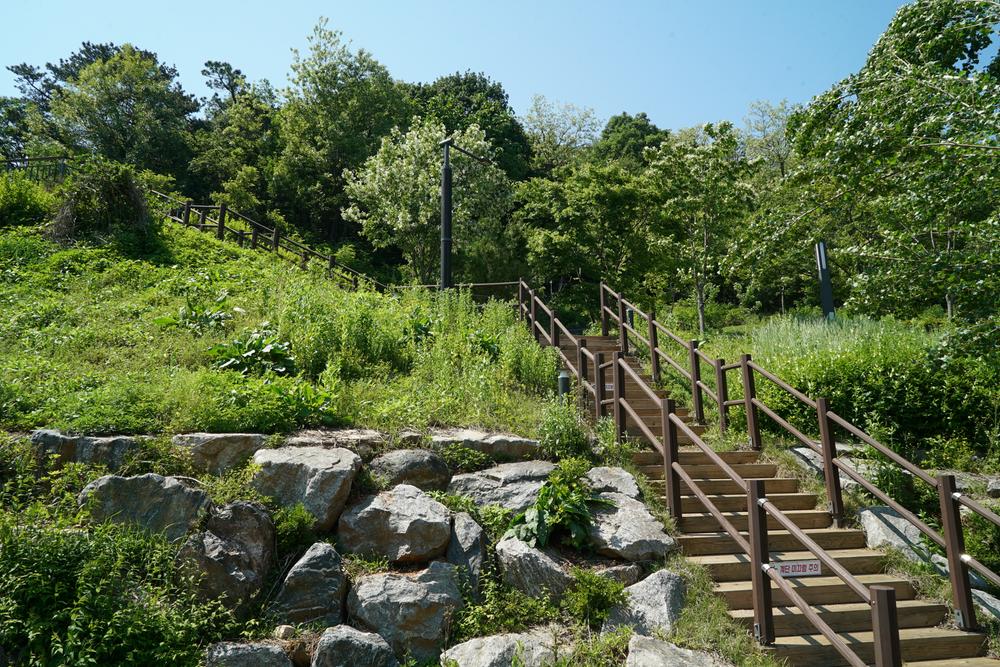 천왕산 가족캠핑장