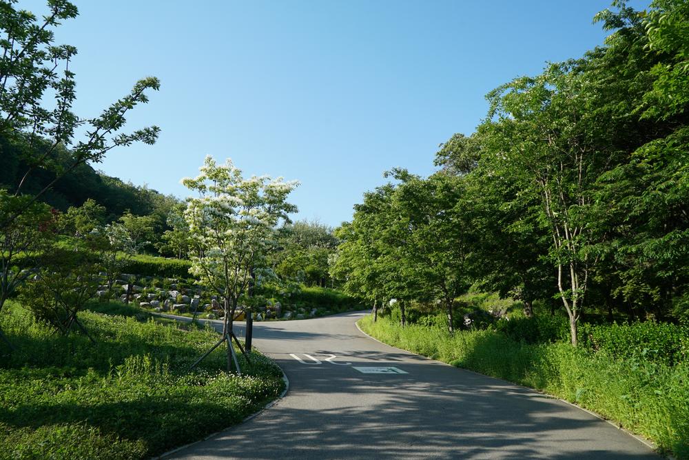 천왕산 가족캠핑장