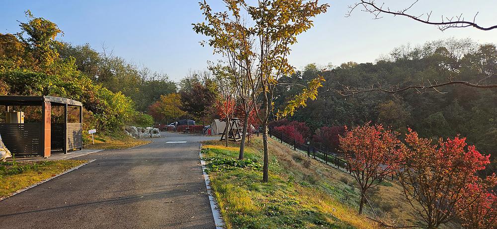 천왕산 가족캠핑장