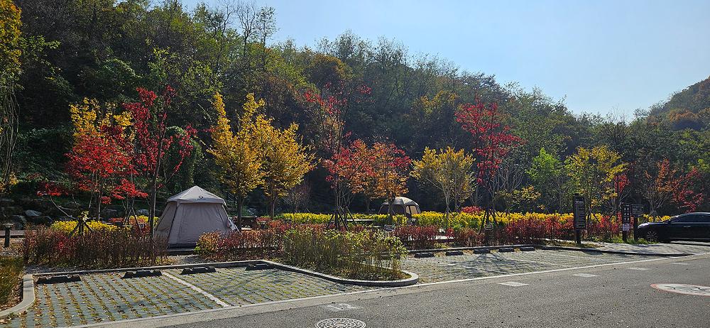 천왕산 가족캠핑장
