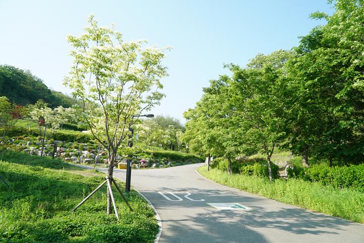 천왕산 가족캠핑장 메인 이미지