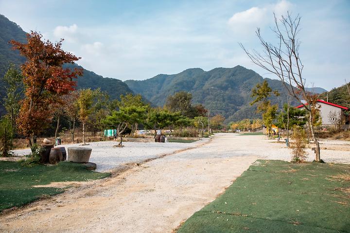 한탄강둘레길캠핑장 메인 이미지