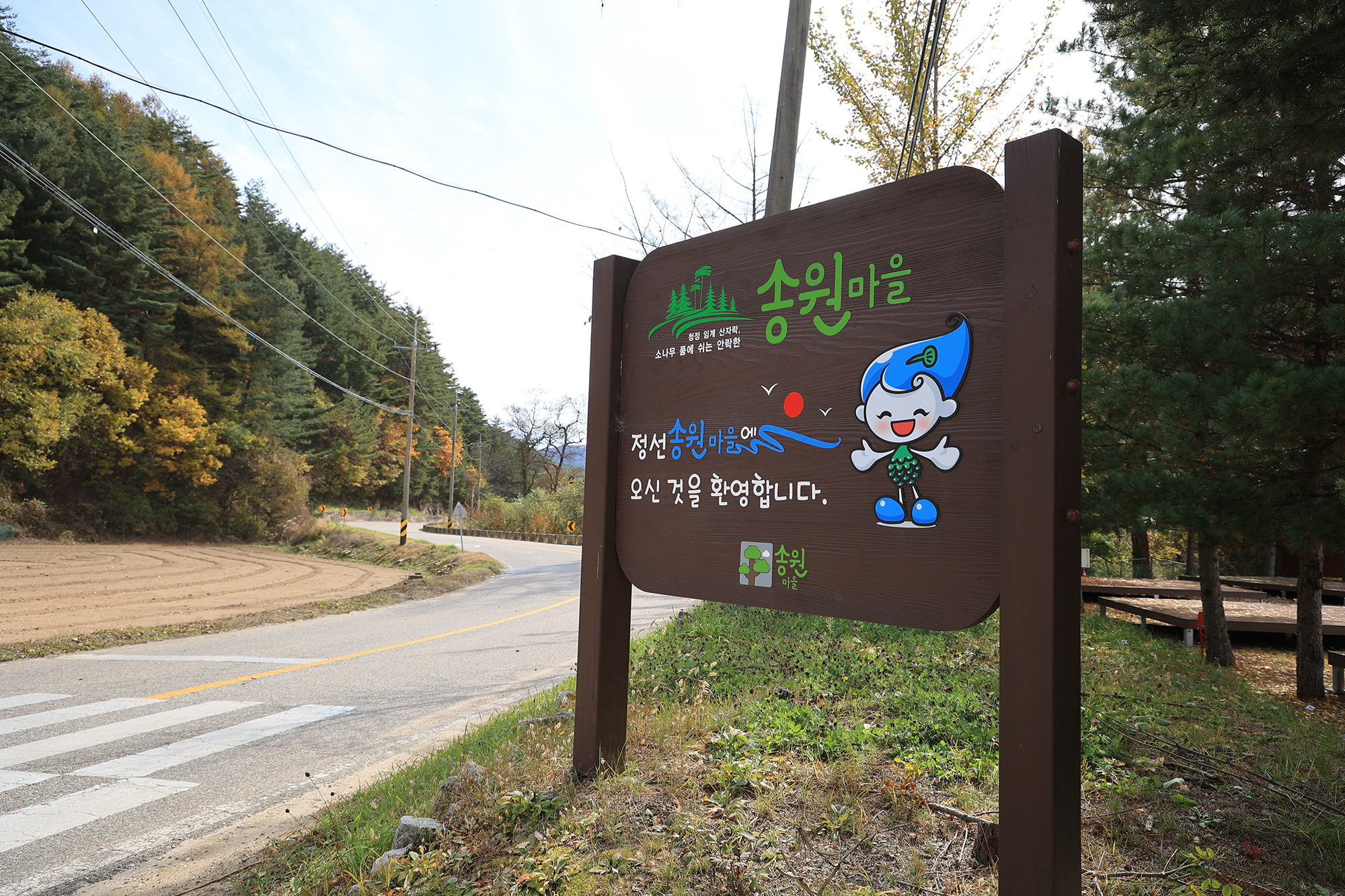 솔미캠핑장