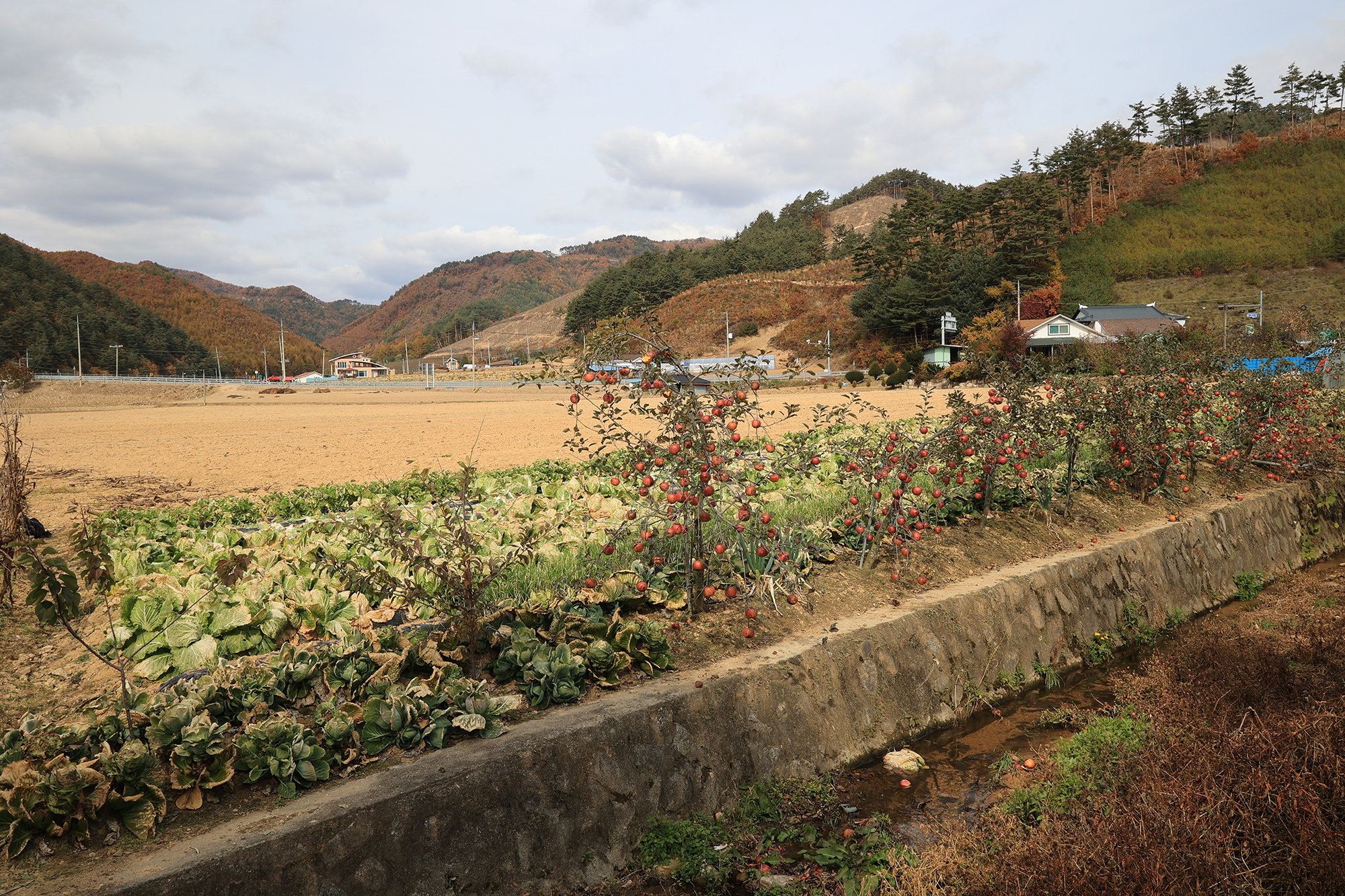 솔미캠핑장