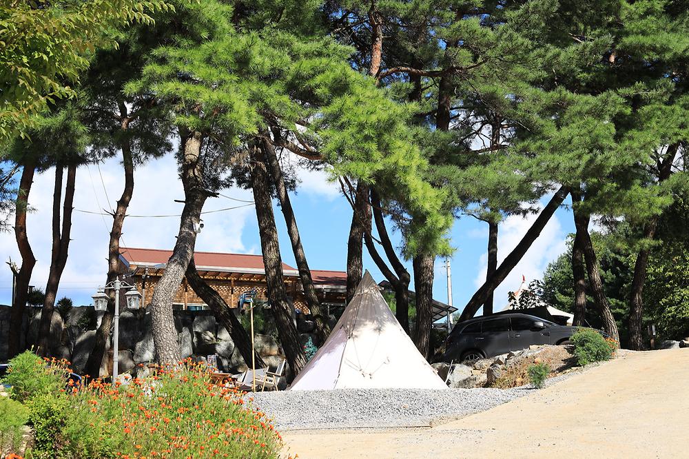 영월한반도캠핑장