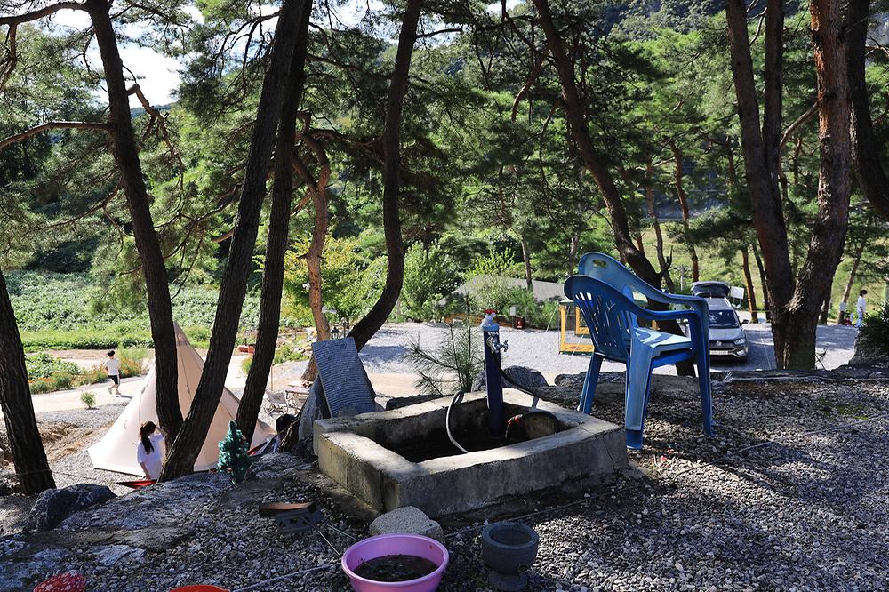 영월한반도캠핑장