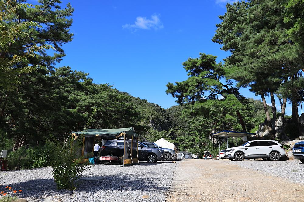 영월한반도캠핑장