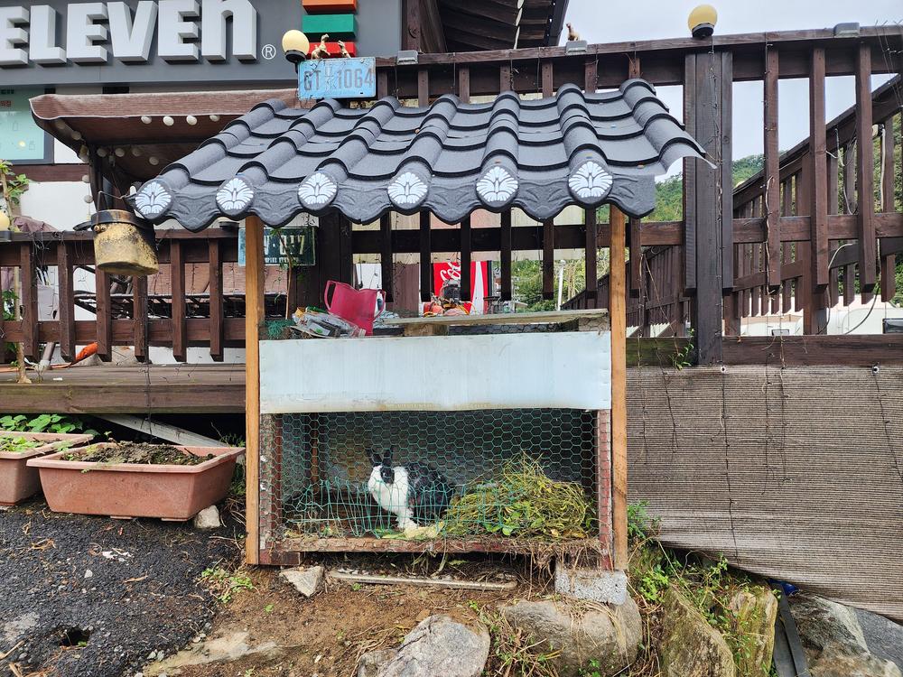 양평카라반파파