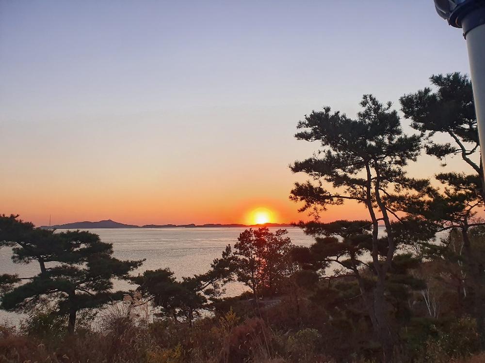 스카이랜드리조트