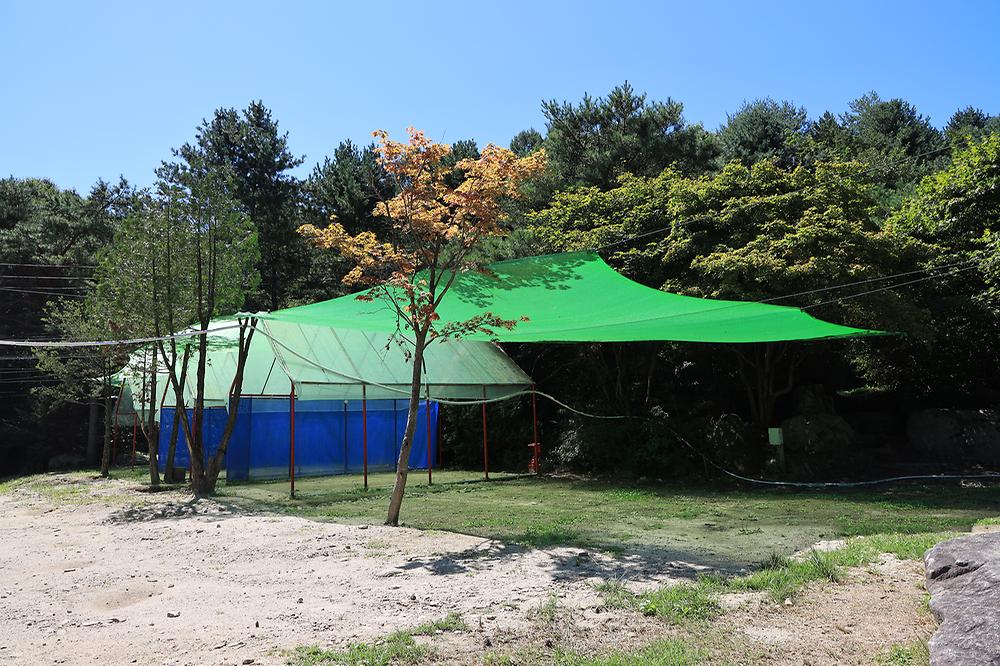 광덕그린농원 야영장