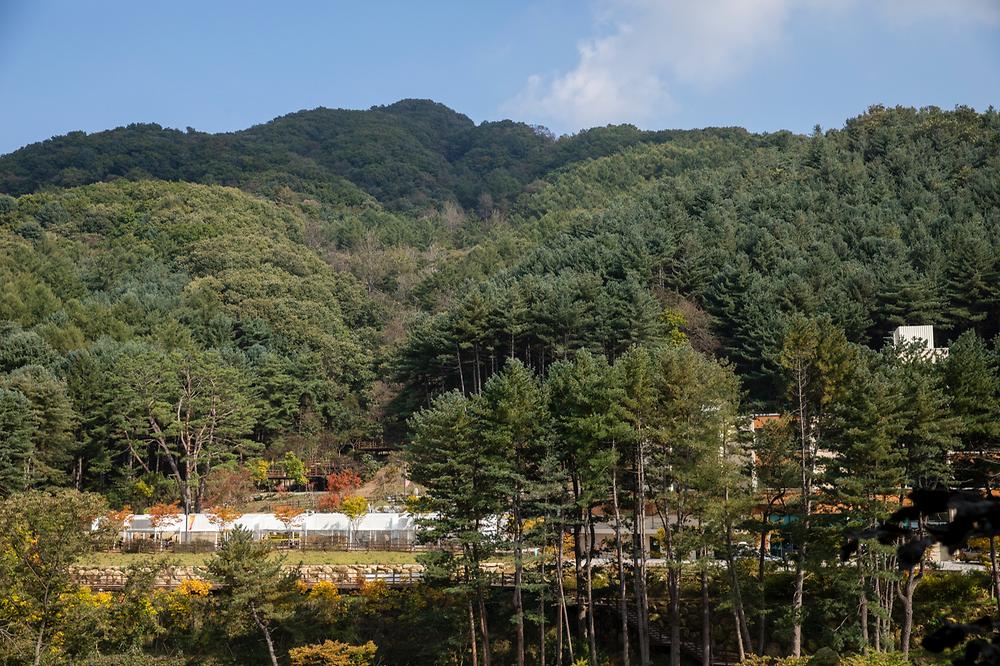동두천 자연휴양림
