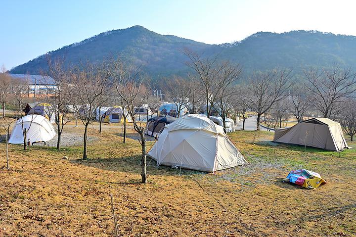 보다더캠핑 메인 이미지