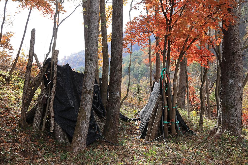 바람부리 별밤 캠핑장