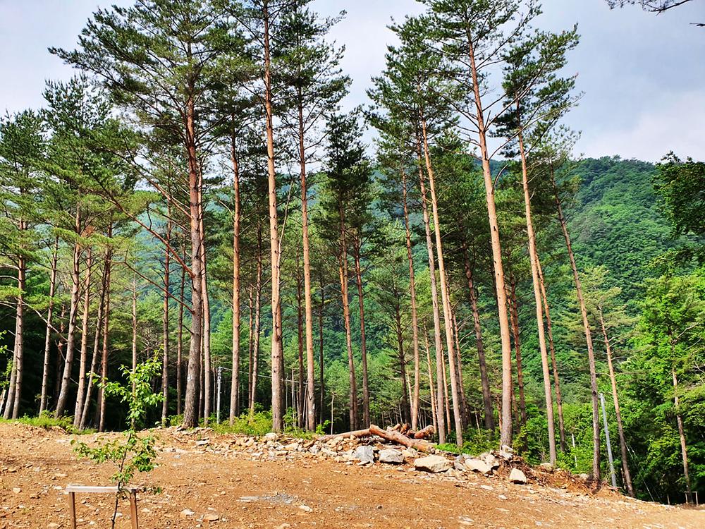 바람부리 별밤 캠핑장