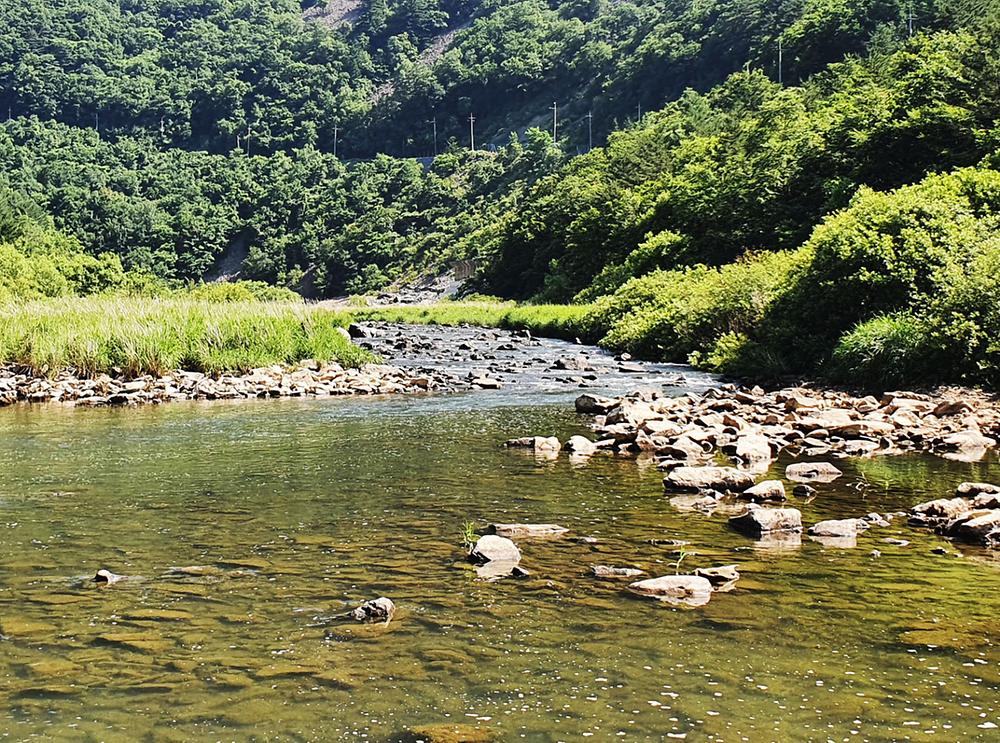 바람부리 별밤 캠핑장