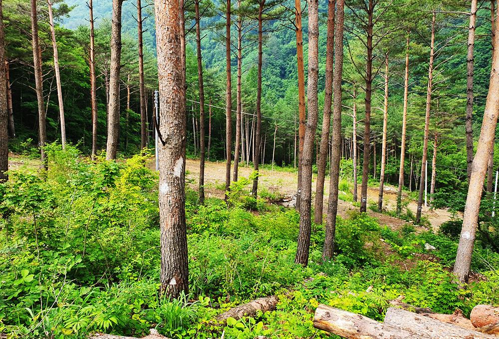 바람부리 별밤 캠핑장