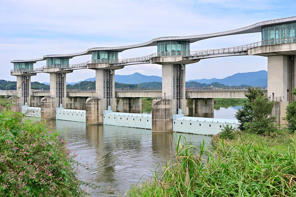 나주 죽산보 오토캠핑장