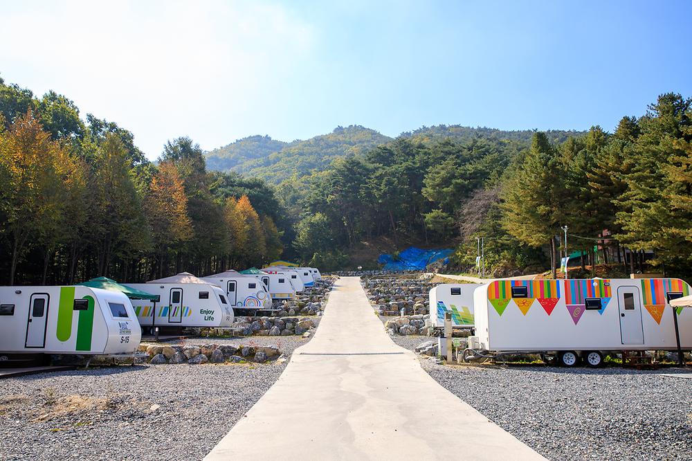 제천카라반 더그린