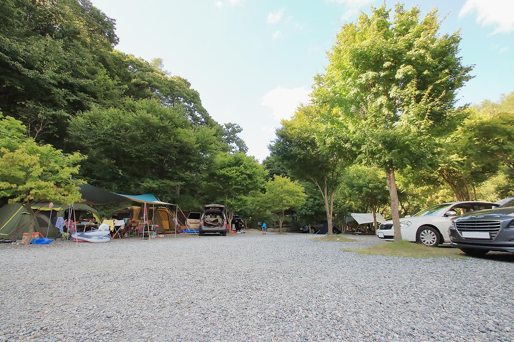 덕동골 오토캠핑장