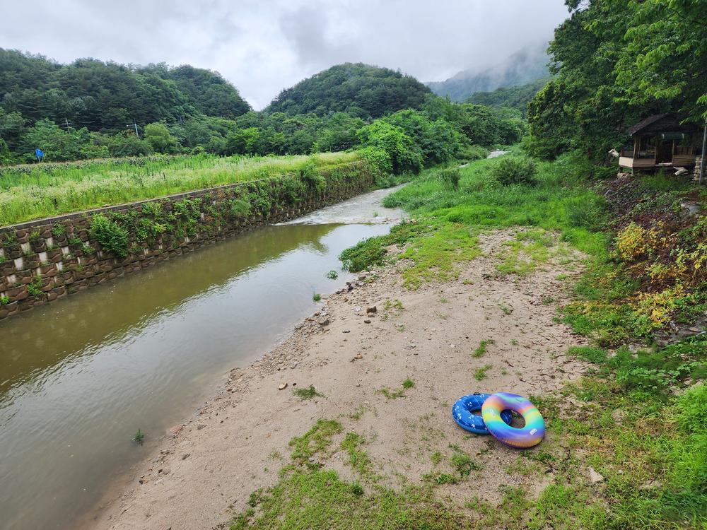 약사밤나무집 캠핑장