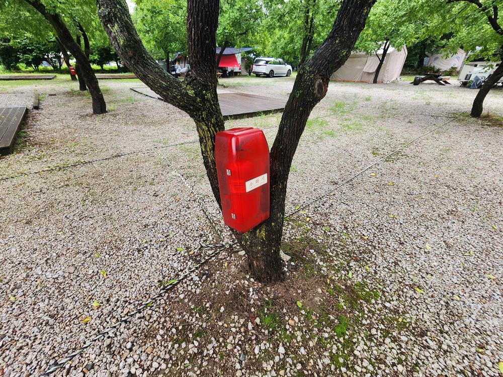 약사밤나무집 캠핑장