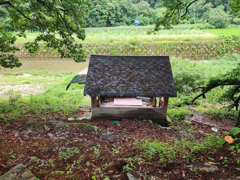 약사밤나무집 캠핑장