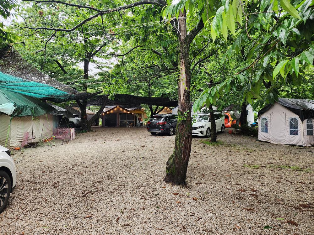 약사밤나무집 캠핑장