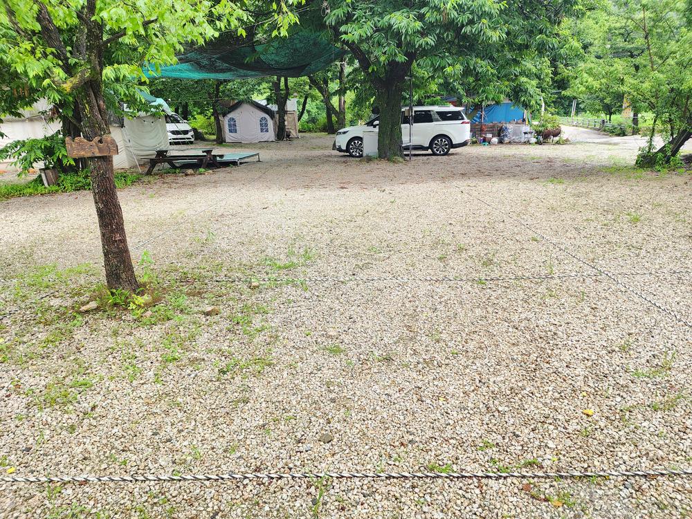 약사밤나무집 캠핑장