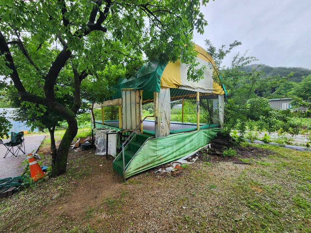 약사밤나무집 캠핑장